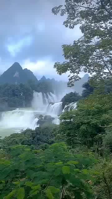 探索知识星球平台-尽享感觉头晕手麻是怎么回事?的无尽知识宝藏